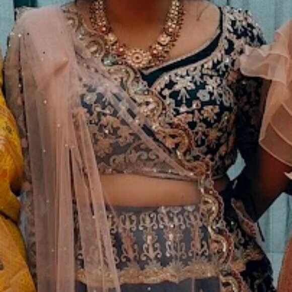 Pink and Navy Blue Lehenga Set - Picture 7 of 7